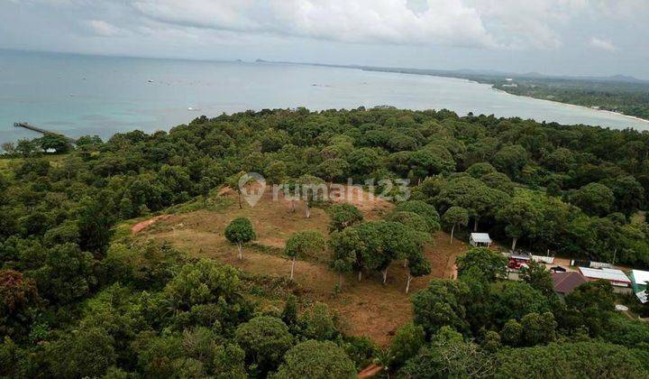 TANAH LUAS DI TANJUNG TINGGI BELITUNG 1