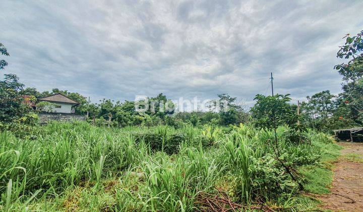 10 ARE LAND FACING NORTH & EAST IN PECATU 2