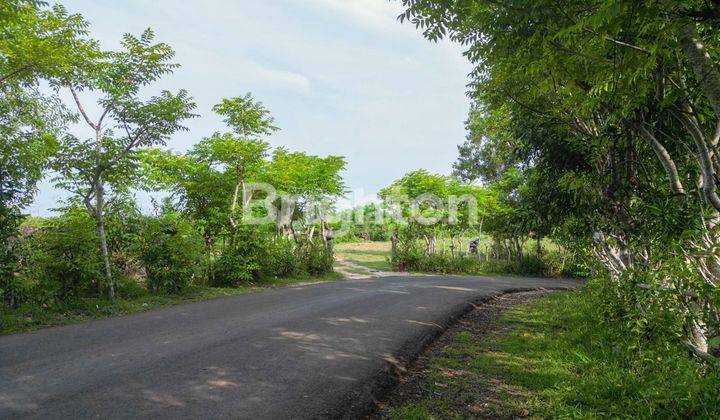 TANAH DI LOKASI PREMIUM DENGAN OCEAN VIEW DI PECATU, BALI 1