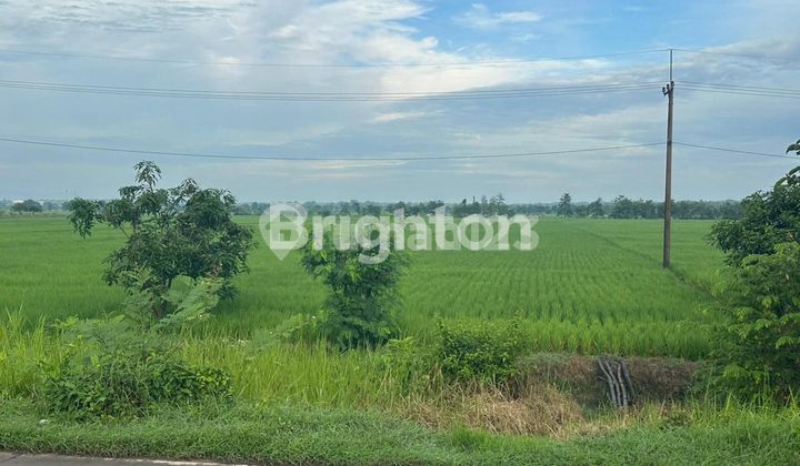 Tanah Komersial murah dekat Bandara Kertajati Majalengka Jawa Barat