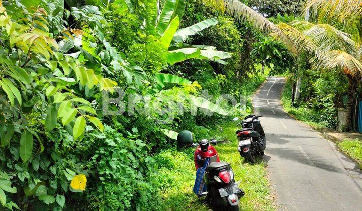 LAHAN DI KAWASAN VILLA & HOTEL DI UBUD, BALI 1