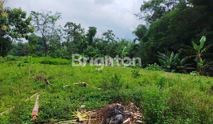 Tanah Kering Dekat Sumber Nyolo 1