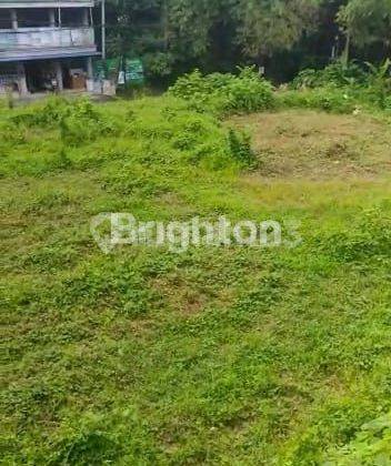 COMMERCIAL LAND NEAR CENTRAL UBUD, BALI 1