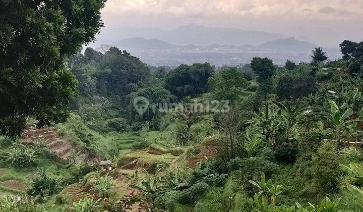 Kavling cocok untuk Villa , daerah sejuk Cihanjuang 1