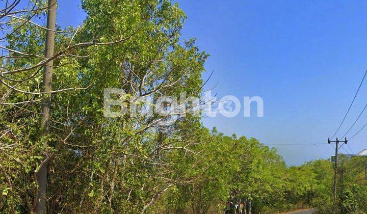 LAHAN UKURAN KECIL DI JALAN UTAMA BALI CLIFF, UNGASAN - BALI 2