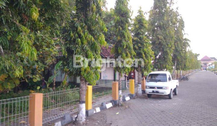 JARANG ADA,  JUAL CEPAT TANAH MEPET KAMPUS MERCU BUANA 1