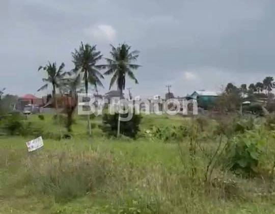 Tanah Sangat Strategis Lingkungan Villa dan Resto di Munggu Mengwi 1