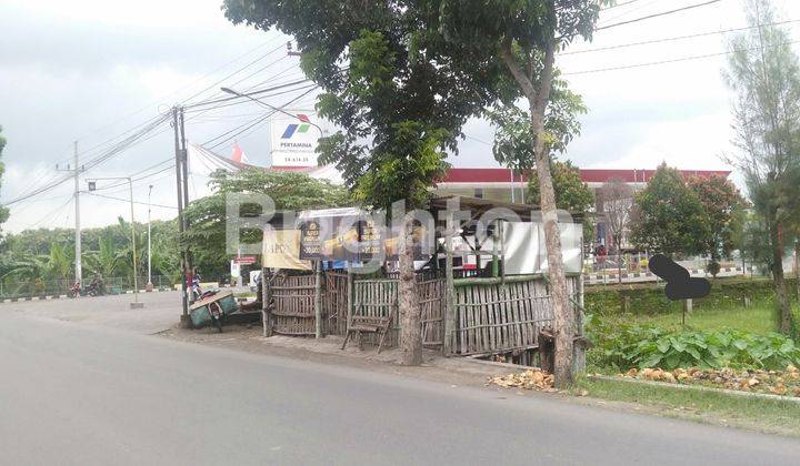 LAHAN LUAS SIAP BANGUN BONUS RUMAH WALET DI JOMBANG 2