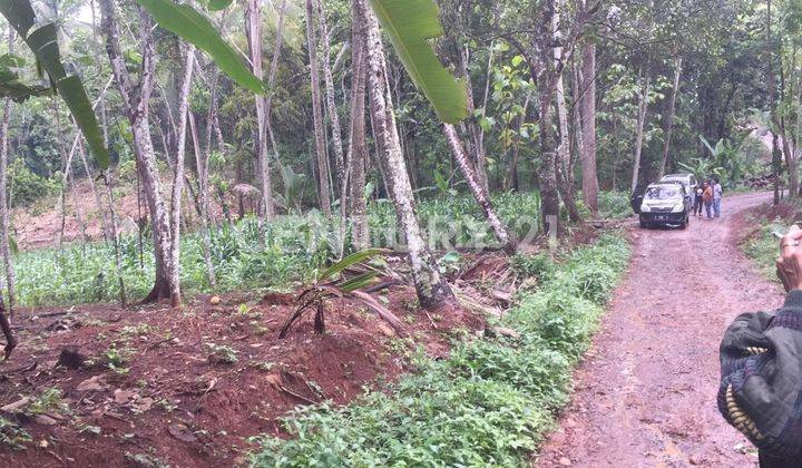 Tanah Kawasan Industri Di Jl Provinsi Batang Jawa Tengah 2