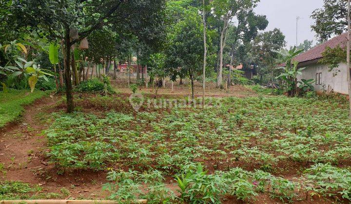 Tanah Kebun Luas 3610 M2, Bonus Rumah di Cibungbulang Kab. Bogor 1