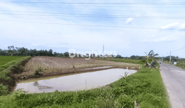 TANAH NOL JALAN DESA SIDOMUKTI LAMONGAN 1