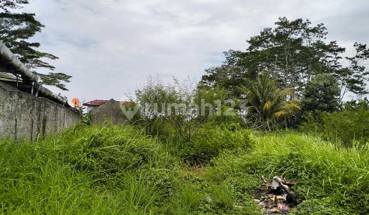 Kavling Murah Pinggir Jalan dan Cocok Untuk Usaha @Majenang, Cilacap Kavling Murah Pinggir Jalan dan Cocok Untuk Usaha @Majenang, Cilacap