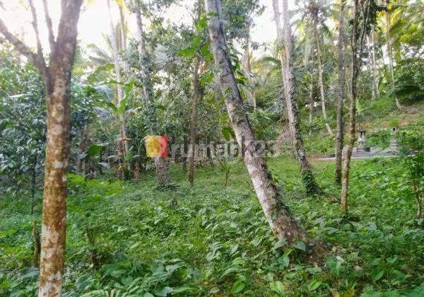 Land For Leasehold In Bajera Tabanan Close To Soka Beach Raya Denpasar Gilimanuk Road 2