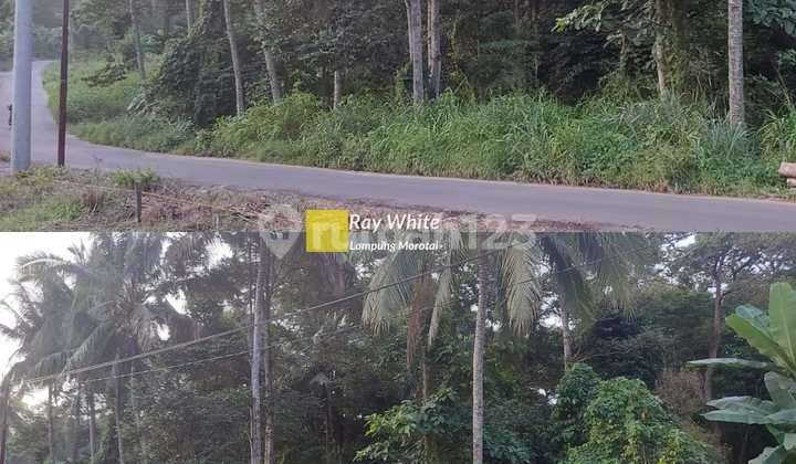 Miliki Tanah Strategis Siap Bangun ay Miliki Tanah Strategis Siap Bangun ay