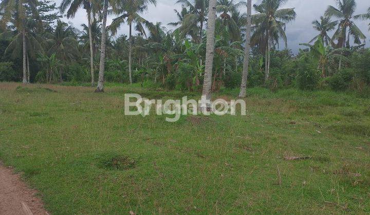 Land covering an area of 12 Ha (1200 acres) in Kaliakah Jembrana Bali 1