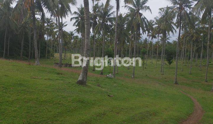 Land covering an area of 12 Ha (1200 acres) in Kaliakah Jembrana Bali 2