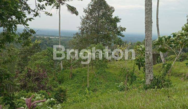 Land covering an area of 20 hectares in Penebel District, Tabanan, Bali 2