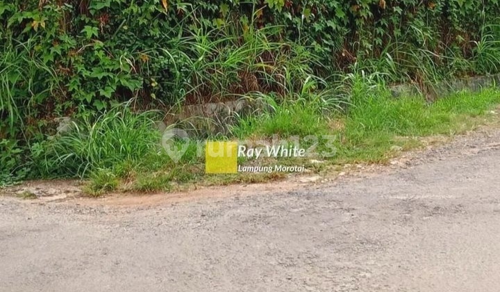 Cheap land 700 million location Gunung Terang Bandar Lampung