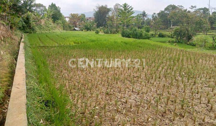 Tanah Sawah Lokasi Banjaran, 100 meter Dr Jalan Besar 1