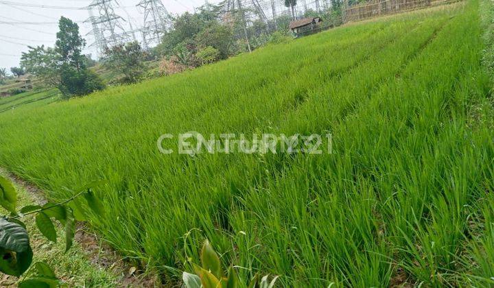 Tanah Sawah Lokasi Banjaran, 100 meter Dr Jalan Besar 2