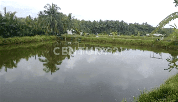 Tanah Di Pondok Paku Cibenda Pangandaran 1