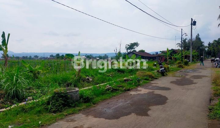 TANAH LUAS PINGGIR JALAN ASPAL
