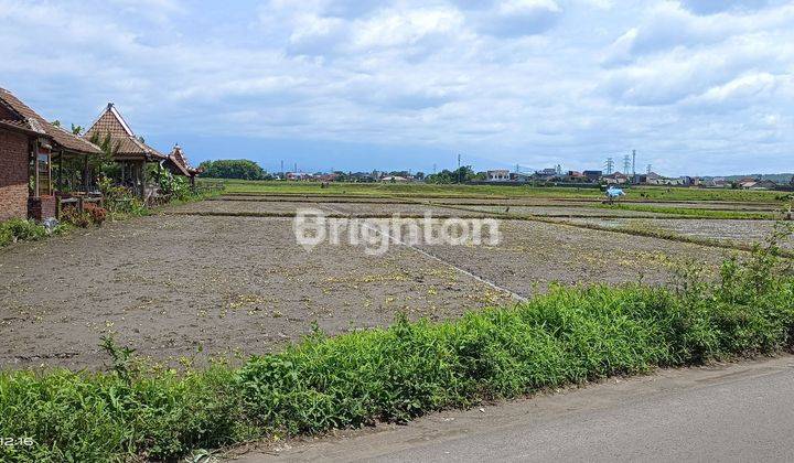 TANAH LOKASI STARTEGIS DAERAH DEKAT EXIT TOL 1