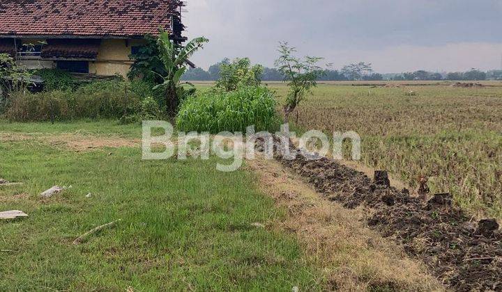 Hanya 2 Menit Ke Jalan Raya Provinsi ‼️ Lahan Murah Kraksaan Probolinggo 1