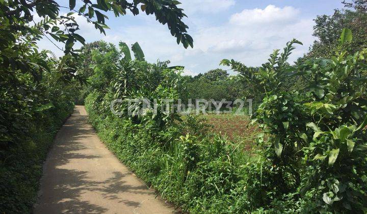 Tanah Lokasi Dekat Dari Pintu Tol Desari Di Sawangan S7390 2