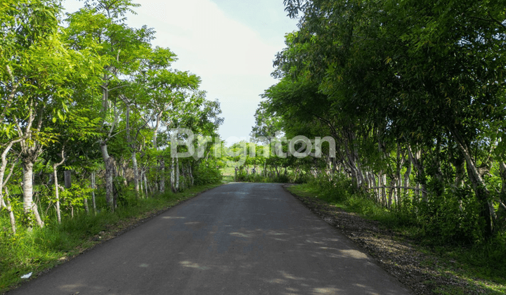 FREEHOLD TANAH DI BINGIN BONUS OCEAN VIEW DI BADUNG BALI 1