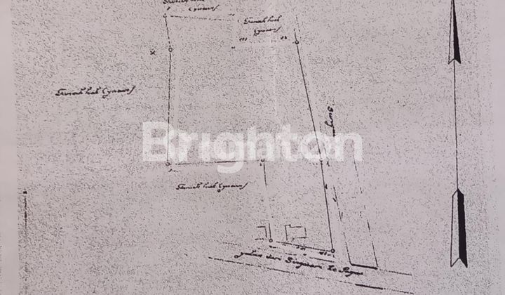 TURUN HARGA !!!! TANAH EX PABRIK PAVING GRATIS BANGUNAN DI ATASNYA LT. 3.500 M2 COCOK UNTUK GUDANG DI JL ROGONOTO, DAMEAN, TAMANHARJO, KEC SINGOSARI, KAB MALANG