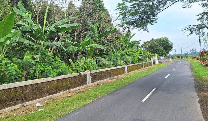 Tanah Luas 2380 Meter Persegi Lokasi Delanggu Klaten 1