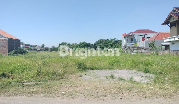 TANAH STRATEGIS DI JALAN KI MANGUNSARKORO KETAPANG KENDAL