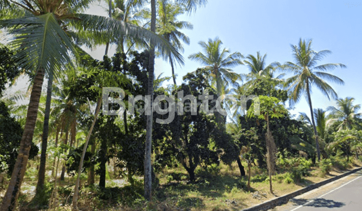 Land Area 1.98 Hectare Beach and Suburbs in Tejakula 1