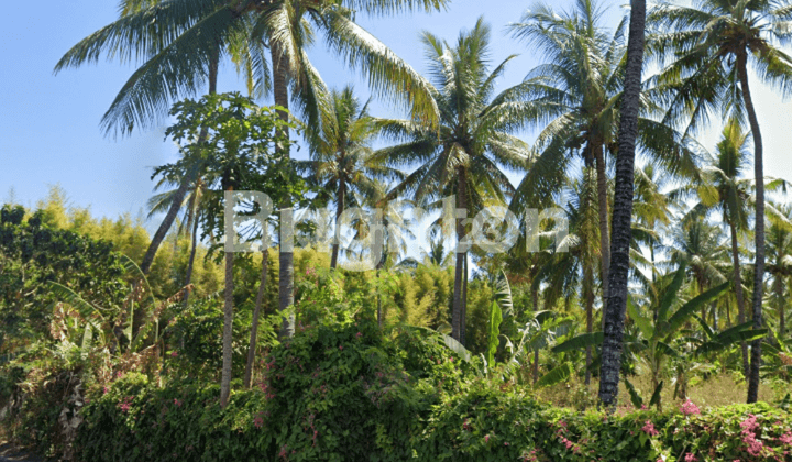 Large land on the edge of the beach and Singaraja Amplapura Road 2