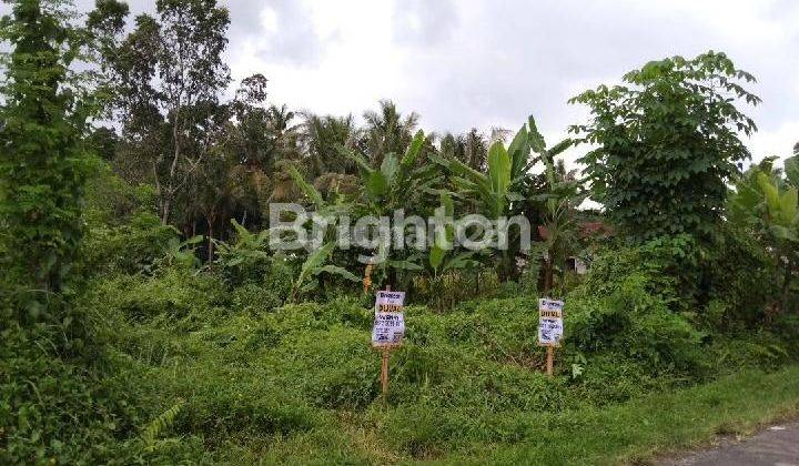 TANAH SIAP BANGUN, JOGJA UTARA, SELANGKAH UII UNIVERSITAS ISLAM INDONESIA JAKAL 2