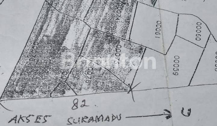 Tanah Raya Suramadu Bangkalan Madura Cocok Industri Perumahan 1