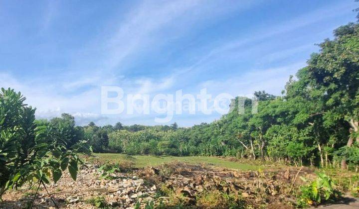 VILLA ENVIRONMENTAL LAND IN MELASTI BEACH, UNGASAN - BALI 1