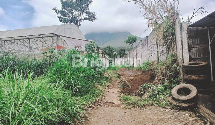 Tanah Abdul Ghani Atas Selangkah dari Hotel Amartha Hill Kota Batu 2