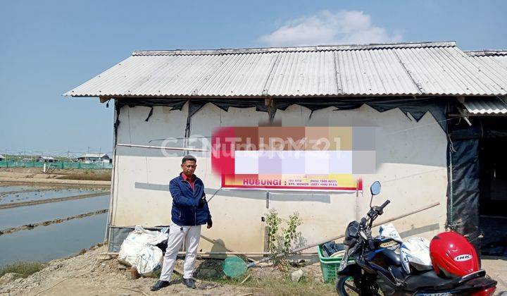 Lahan Tambak Garam Harga Bagus Di Pangenan 2