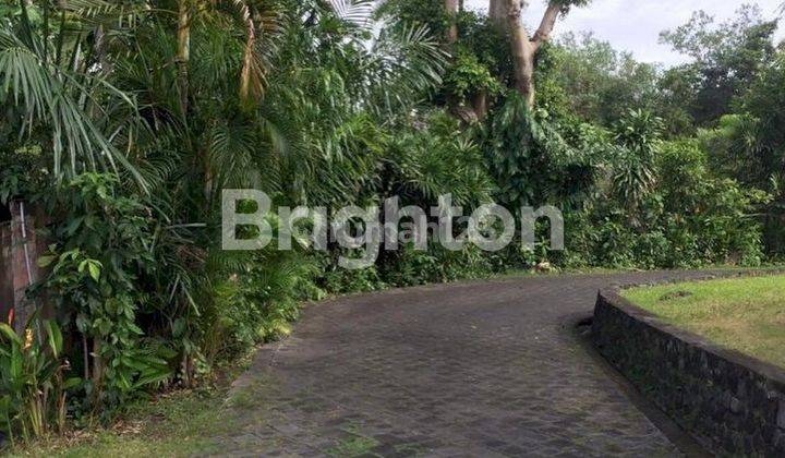 SMALL LAND IN VILLA DALEM GEDE AREA, PERERENAN - BALI 2