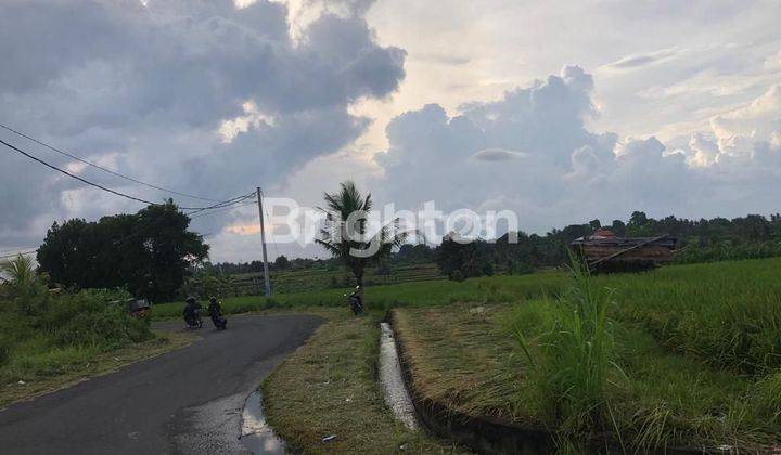 TANAH DEKAT JEMBATAN KACA TEGENUNGAN 2