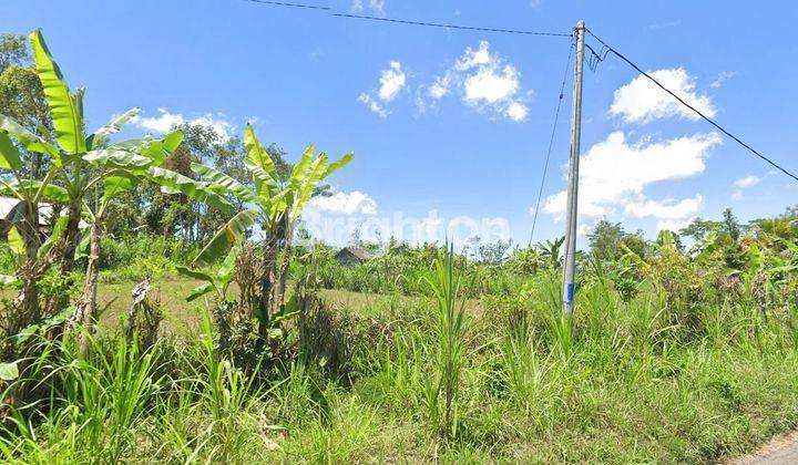 Tanah di Taro Tegallalang Gianyar 2