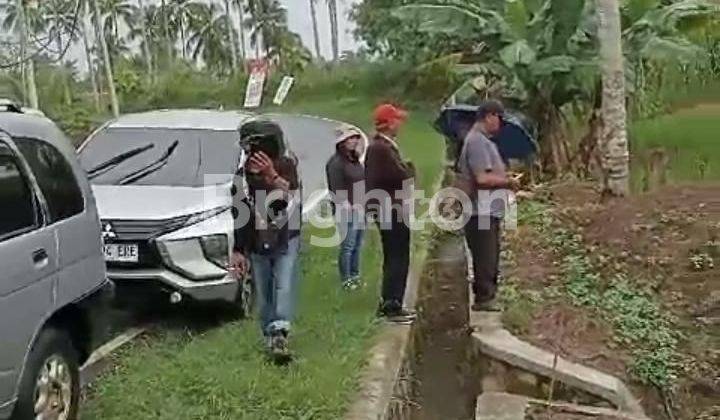 KEBUN PRODUKTIF MASIH AKTIF HARGA MURAH DI PINGGIR JALAN PROVINSI CIANJUR 2