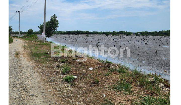 TANAH NELAYAN INDAH MEDAN LABUHAN 1