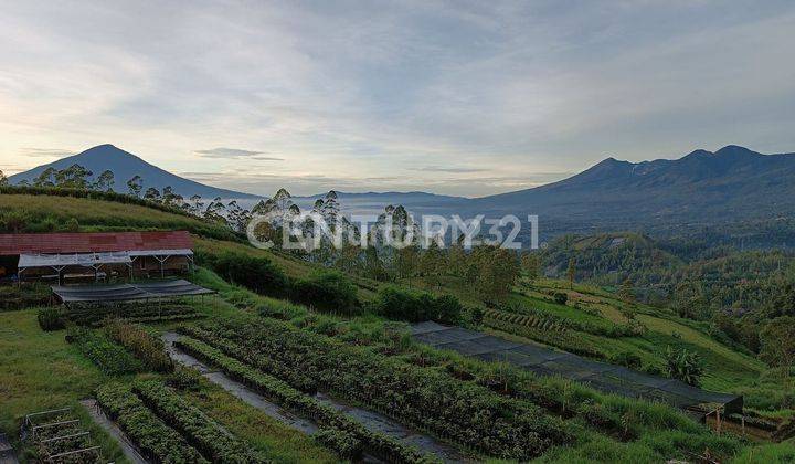 Tanah Cocok Untuk Tempat Wisata Resto Maupun Perkebunan 1