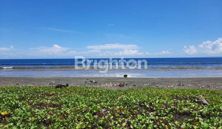 LAND 77 ACRE AT MENDOYO JEMBRANA BALI NEAR TO THE BEACH 1