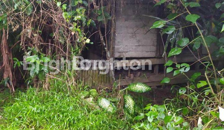 LAHAN KAVLING DAERAH JALAN POROS SAMARINDA BONTANG 2