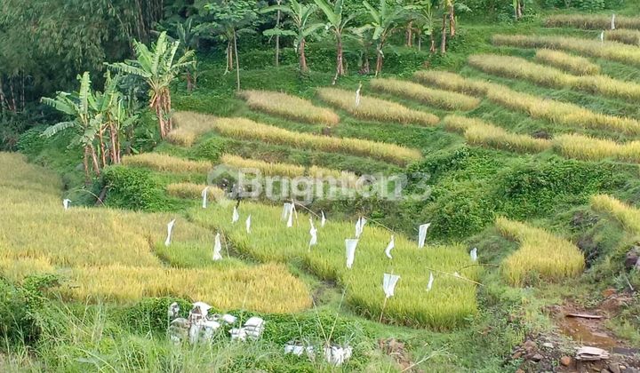 SPACIOUS LAND IN BOGOR SUITABLE FOR VILLA