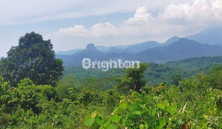 TANAH 1,2HA KAMPUNG KARANGSARI DESA MEKARWANGI CARIU BOGOR TIMUR 1